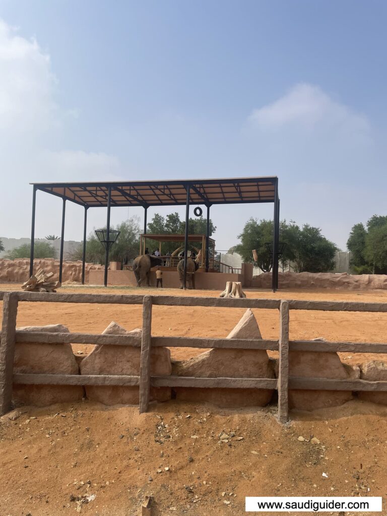 Feeding Animals Activity in Riyadh Zoo