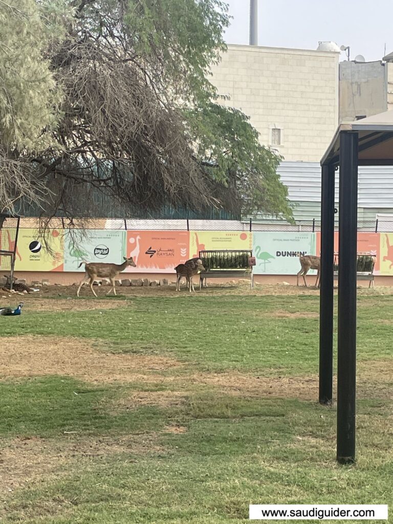 Riyadh Zoo Animals and Zones