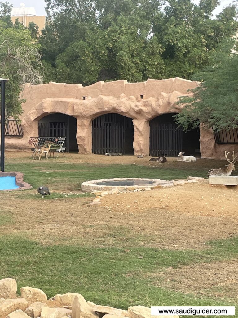 Riyadh Zoo Animals and Zones