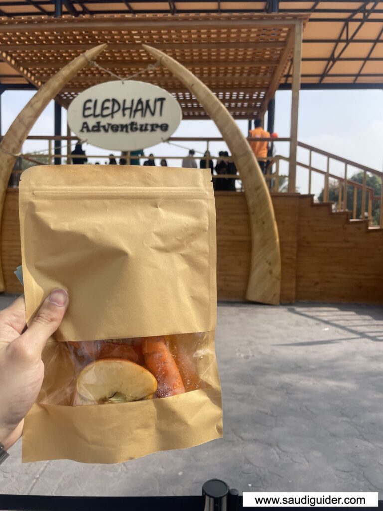 Feeding Animals Activity in Riyadh Zoo