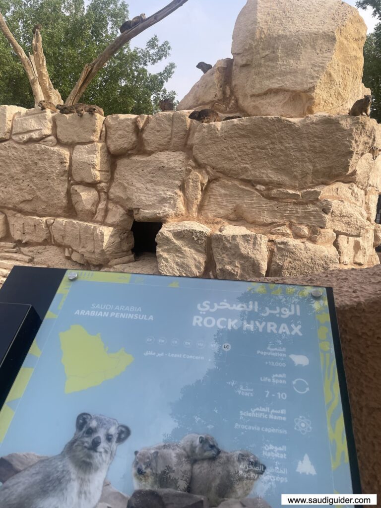 Riyadh Zoo Animals and Zones