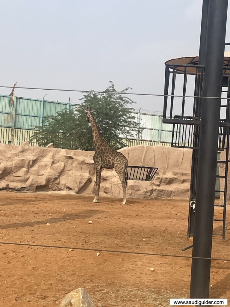 Riyadh Zoo Animals and Zones