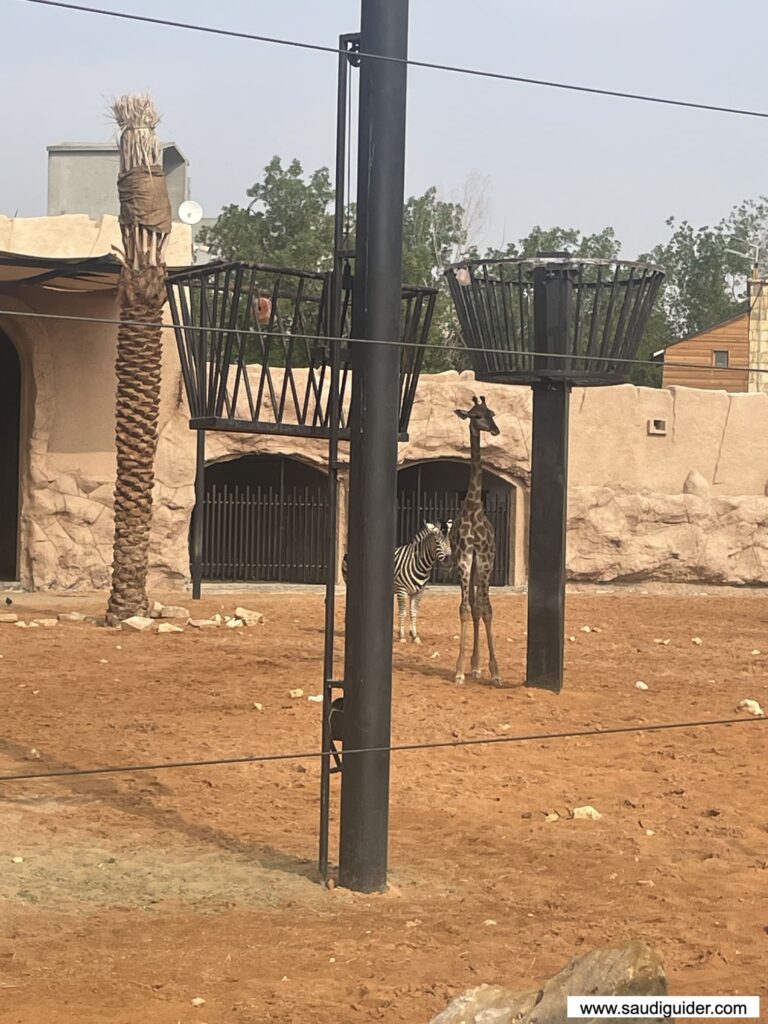 Riyadh Zoo Animals and Zones