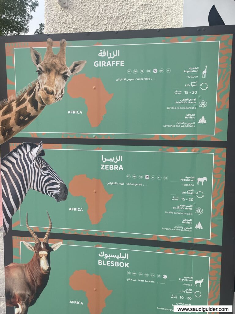 Riyadh Zoo