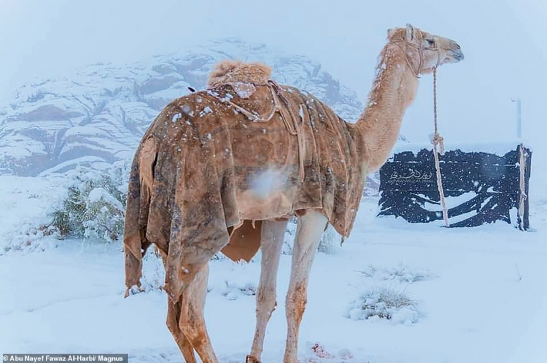 Snow in Saudi Arabia